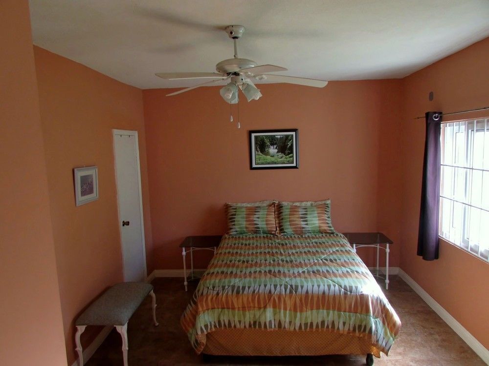 Centrally Located Guest Apartments Kingston Exterior photo